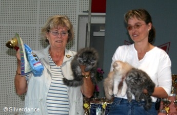 Silverdance Litter